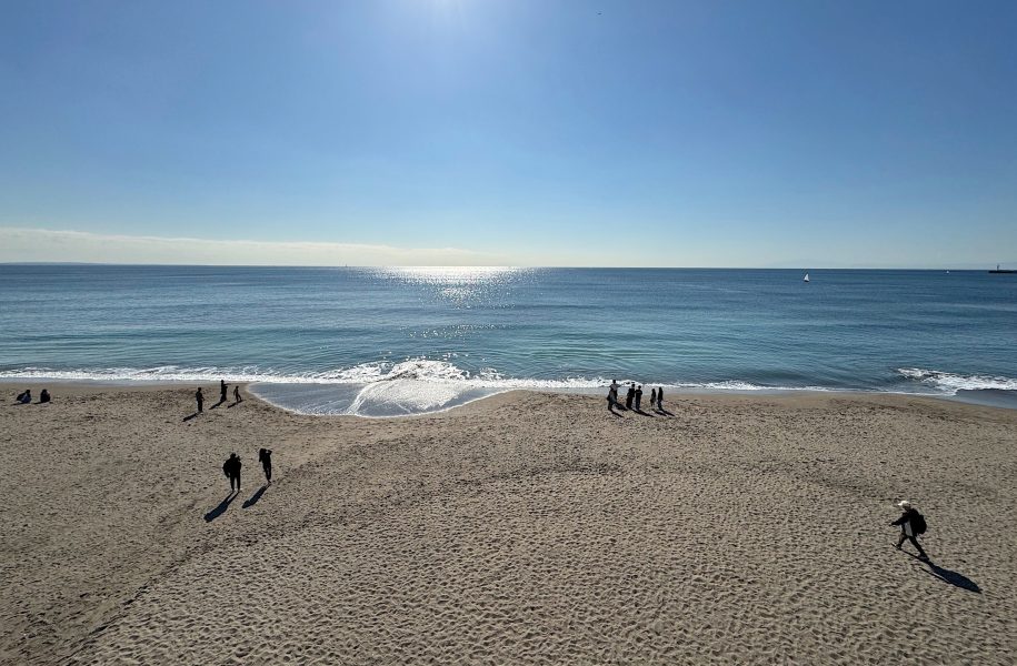 東京 橫濱 鎌倉 冬日漫步 2025