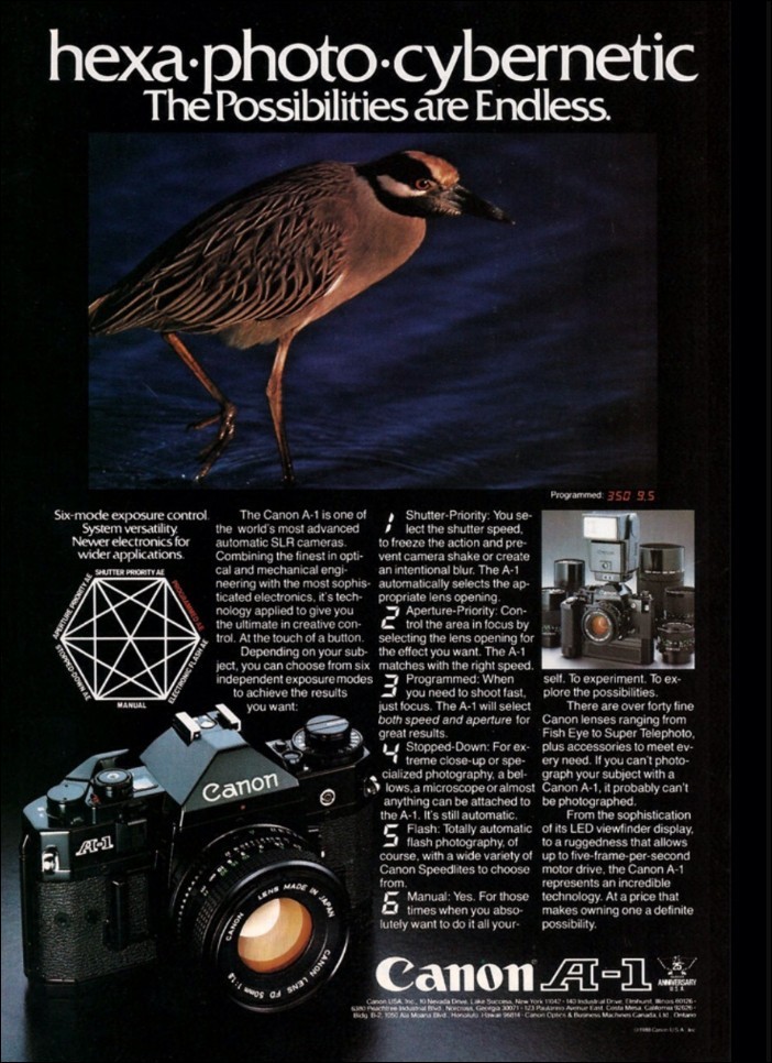 camera-poster-07