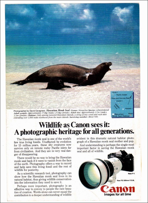 camera-poster-08